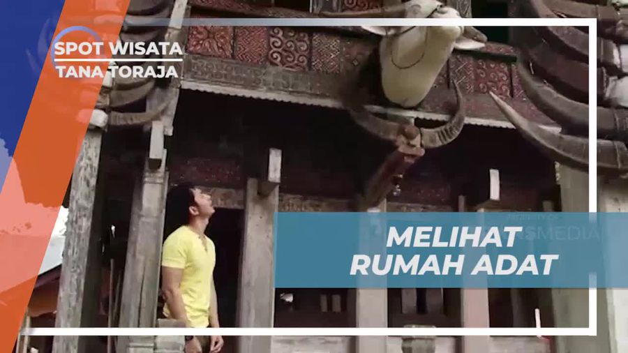 Melihat Keunikan Rumah Adat Toraja dengan Tanduk Kerbau di Tana Toraja  