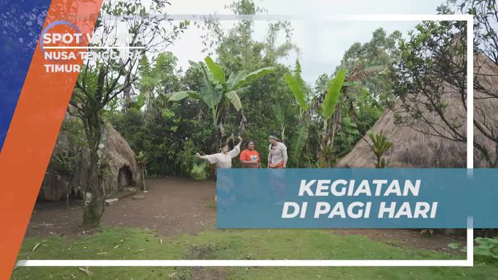 Berkegiatan Pagi Hari di Desa Fatumnasi, Nusa Tenggara Timur