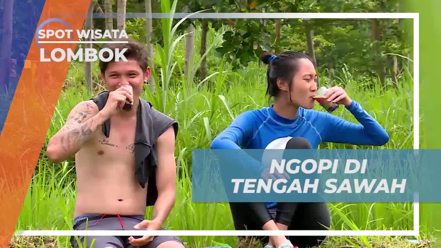 Ngopi Santai di Tengah Sawah yang Indah di Lombok