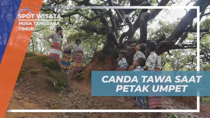 Tertawa Ceria Saat Petak Umpet di Nusa Tenggara Timur