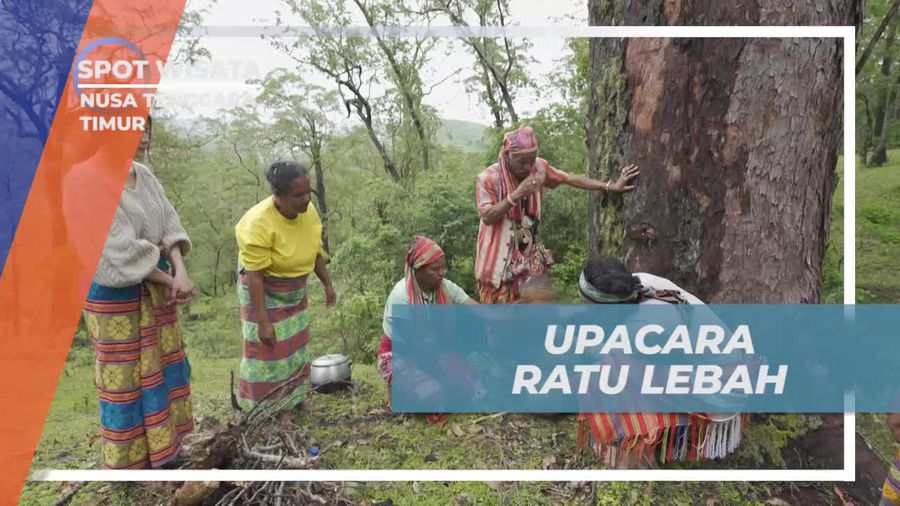 Menghadiri Upacara Ratu Lebah yang Menawan di Nusa Tenggara Timur