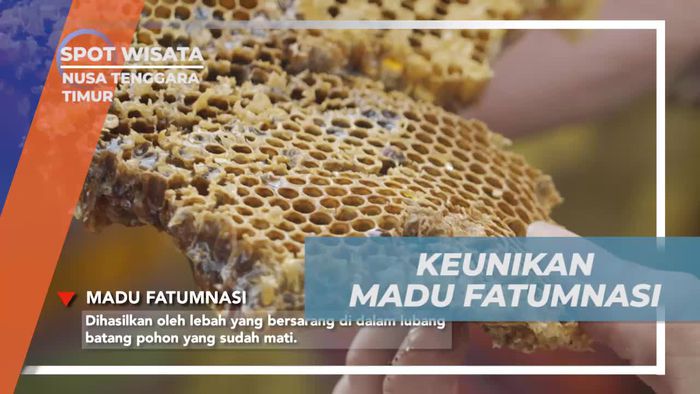 Mengungkap Keunikan Madu Fatumnasi yang Menggugah Selera, Nusa Tenggara Timur