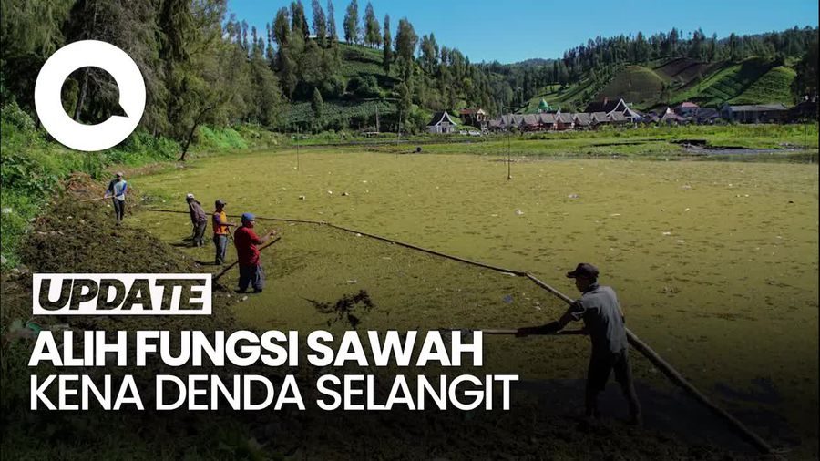 Video Pemerintah Godok Sanksi Pengalihan Fungsi Lahan Sawah