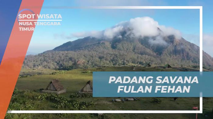 Menjelajahi Padang Savana Fulan Fehan yang Memesona di Nusa Tenggara Timur