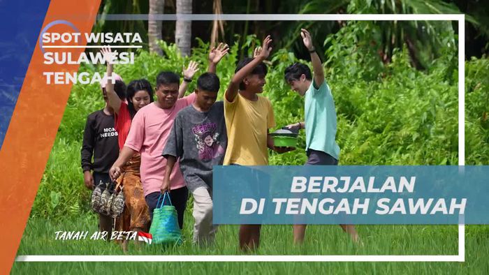 Menjelajahi Keindahan Sawah Suku Bajo di Sulawesi Tengah