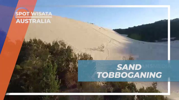Bermain Sand Boarding Seru di Padang Pasir Moreton Island, Australia