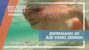 Berenang di Air Jernih Pulau Kalimantung, Tapanuli Tengah