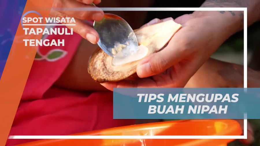 Mengupas Buah Nipah dengan Mudah di Tapanuli Tengah