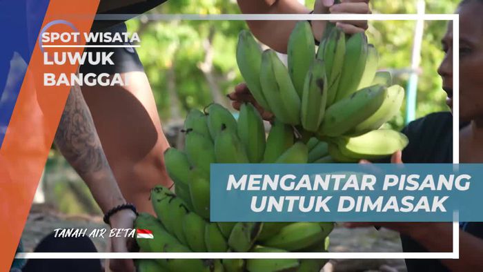 Mengantar Pisang Segar untuk Diolah di Luwuk Banggai