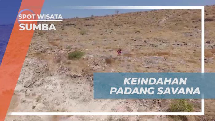Menjelajahi Keindahan Padang Savana Puru Kambera di Sumba