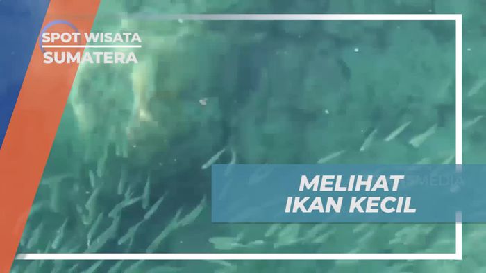 Melihat Ikan Kecil dan Kejernihan Air dari Jembatan di Pulau Sikuai