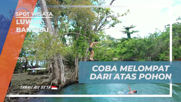 Mencoba Melompat dari Pohon Bersama Warga di Luwuk Banggai