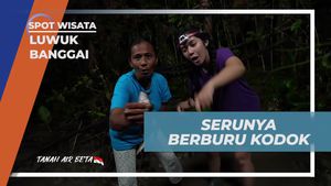 Merasakan Sensasi Seru Berburu Kodok di Luwuk Banggai