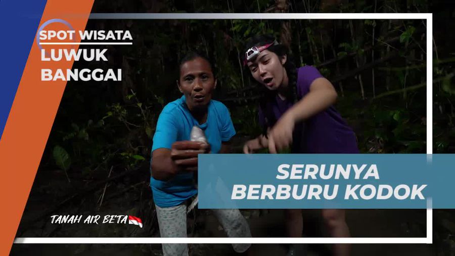 Merasakan Sensasi Seru Berburu Kodok di Luwuk Banggai