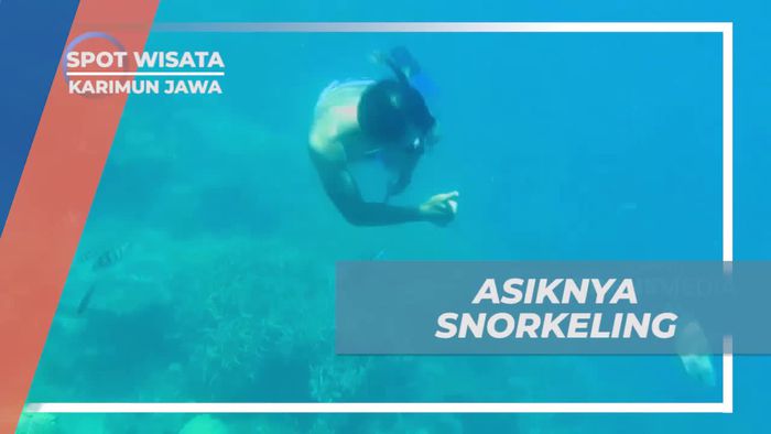 Snorkeling Menyaksikan Keindahan Bawah Laut Karimun Jawa