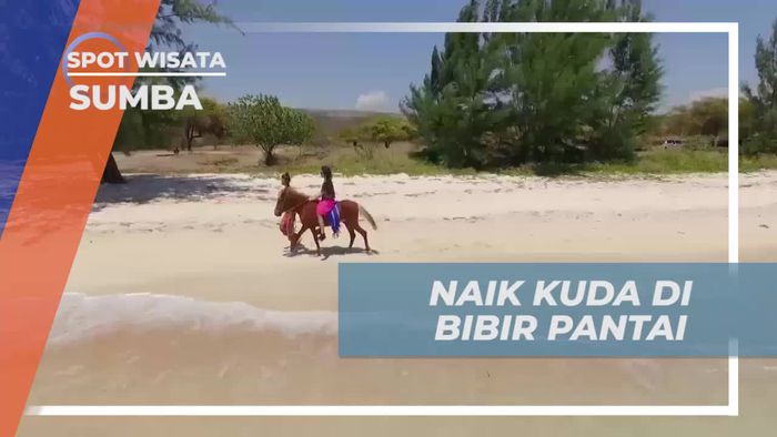 Naik Kuda Menyusuri Pesisir Pantai di Sumba