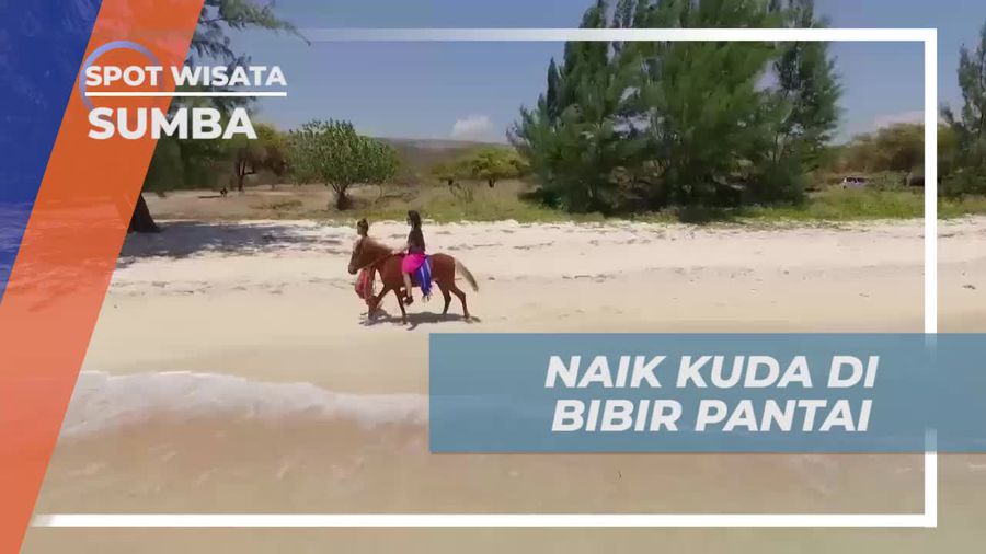 Naik Kuda Menyusuri Pesisir Pantai di Sumba