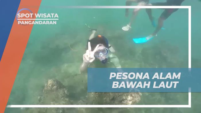 Menikmati Pesona Alam Bawah Laut di Pantai Pasir Putih, Pangandaran