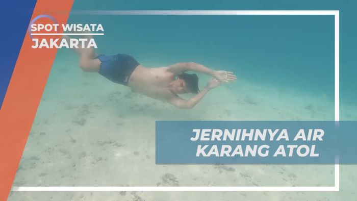Menyelami Jernihnya Air di Karang Atol, Jakarta