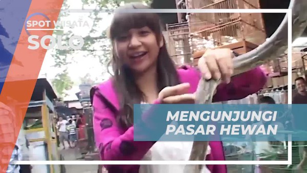 Mengunjungi Pasar Hewan Unik di Pasar Depok, Solo