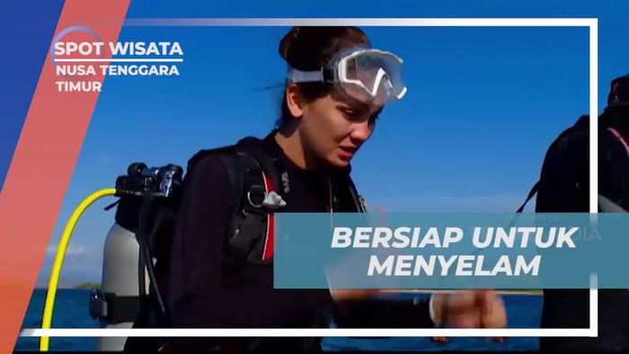 Siapkan Diri untuk Menyelam Menjelajahi Keindahan Pulau Tatawa, Nusa Tenggara Timur