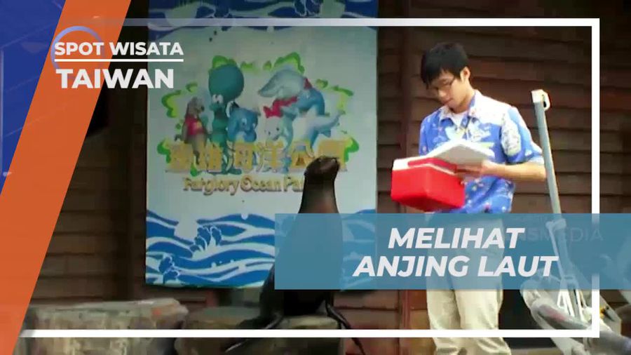 Melihat Interaksi Menggemaskan dengan Anjing Laut di Farglory Ocean Park, Taiwan  