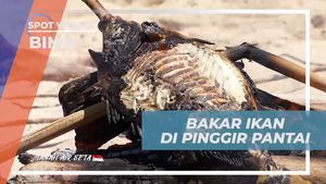 Bakarkan Ikan Segar di Pinggir Pantai dan Nikmati Lezatnya di Bima  