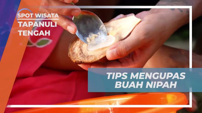 Mengupas Buah Nipah dengan Mudah di Tapanuli Tengah