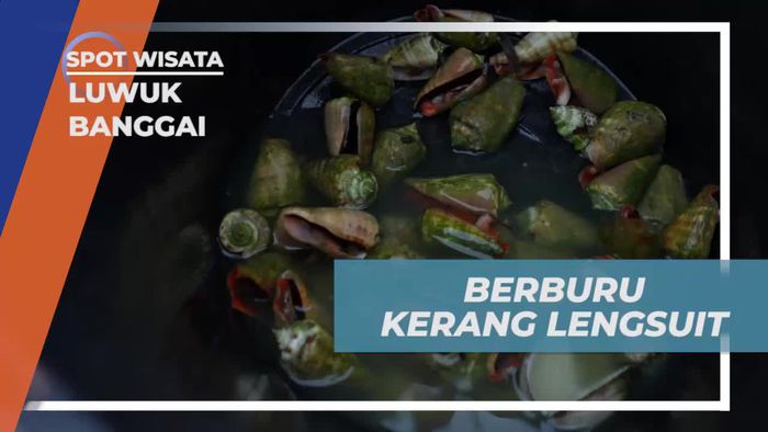 Berburu Kerang Lengsuit Bersama Warga di Luwuk Banggai