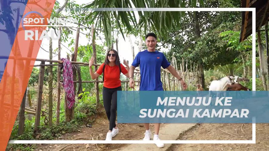 Menelusuri Keindahan Sungai Kampar Saat Menuju Destinasi Seru di Riau