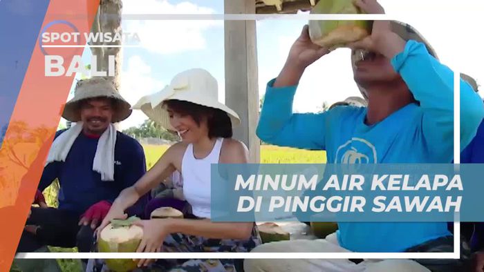Mencicipi Cara Unik Minum Kelapa Muda di Ubud, Bali