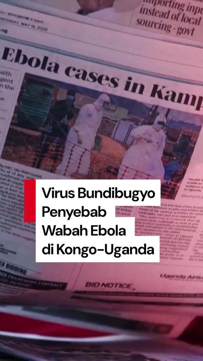 Video Belum Ada Vaksin Khusus Ebola Jenis Bundibugyo yang Merebak di Kongo