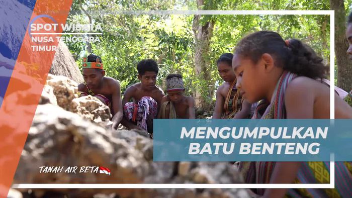 Mengumpulkan Batu Benteng Bersama Anak Desa Benteng None, Nusa Tenggara Timur