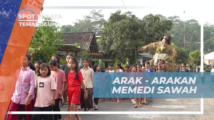 Mengarak Patung Memedi Sawah Bersama Warga di Temanggung
