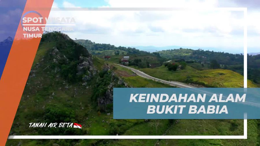Mengagumi Keindahan Bukit Babia di Nusa Tenggara Timur