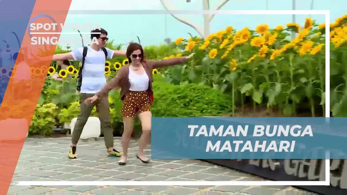 Berkeliling di Taman Bunga Matahari Changi Airport, Singapura