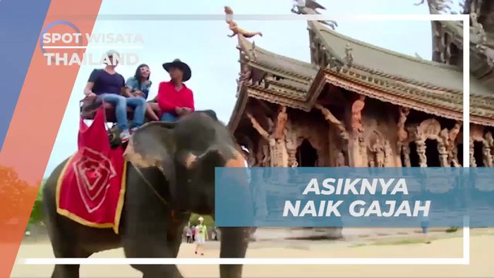 Berkeliling Naik Gajah di Pattaya, Thailand