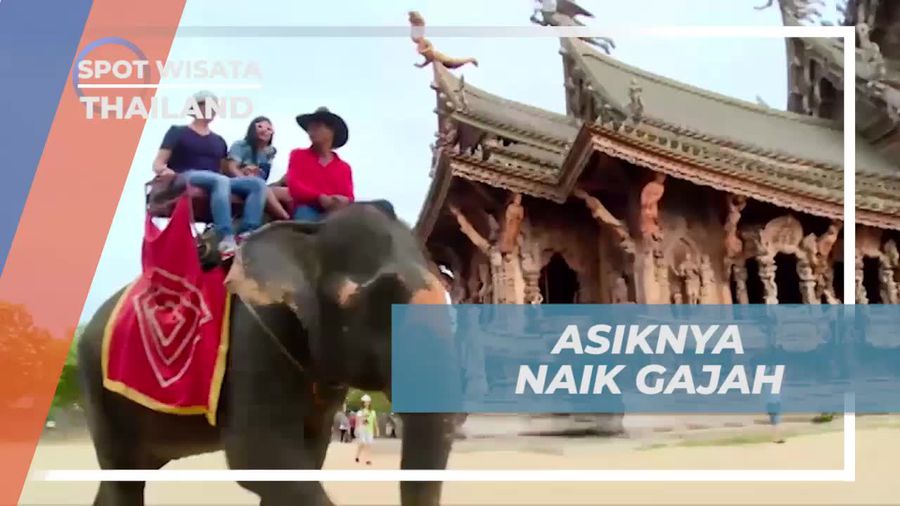 Berkeliling Naik Gajah di Pattaya, Thailand