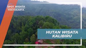 Menjelajahi Hutan Wisata Kalibiru Yogyakarta 