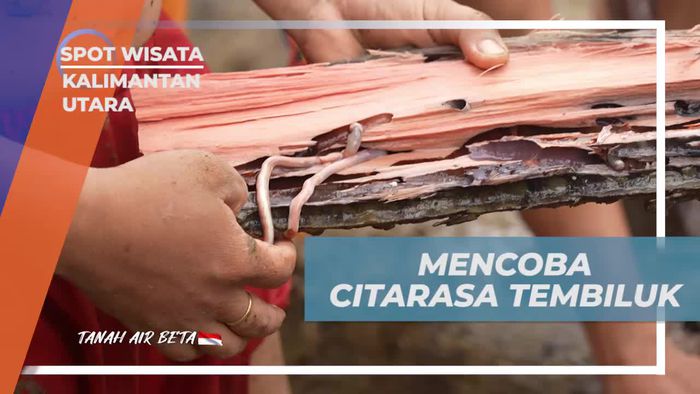 Mencicipi Citarasa Tembiluk di Desa Seputuk