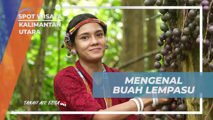 Menjelajahi Buah Lempasu di Kalimantan Utara
