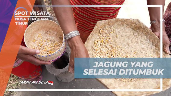 Jagung Bose yang Telah Selesai Ditumbuk di Desa Duarato, Nusa Tenggara Timur
