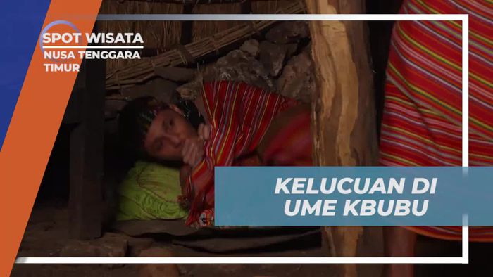 Menikmati Momen Lucu di Ume Kbubu, Nusa Tenggara Timur