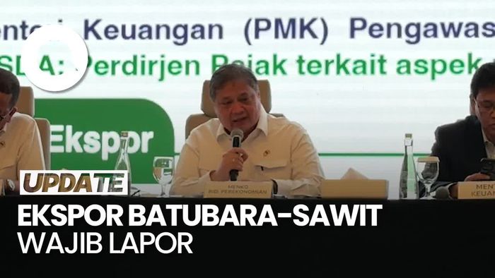 Video Mulai Besok, Ekspor Batu Bara-Sawit Wajib Lapor ke DSI