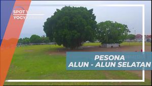 Menikmati Keindahan Alun-Alun Selatan Jogja