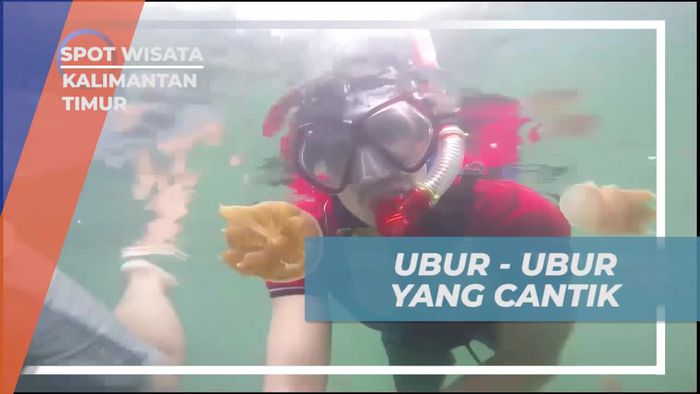 Menikmati Keindahan Ubur-Ubur di Danau Kakaban, Kalimantan Timur
