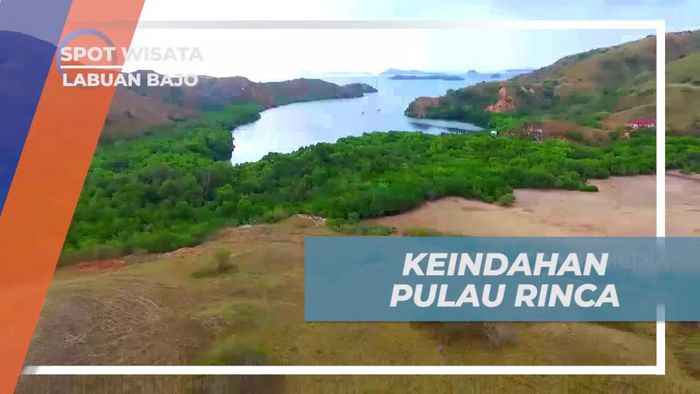 Mengagumi Keindahan Pulau Rinca dan Komodo Labuan Bajo