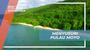 Menjelajahi Pulau Moyo dan Snorkeling Seru di Sumbawa