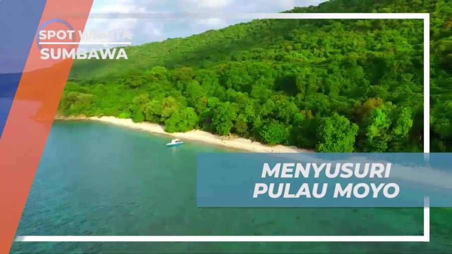 Menjelajahi Pulau Moyo dan Snorkeling Seru di Sumbawa