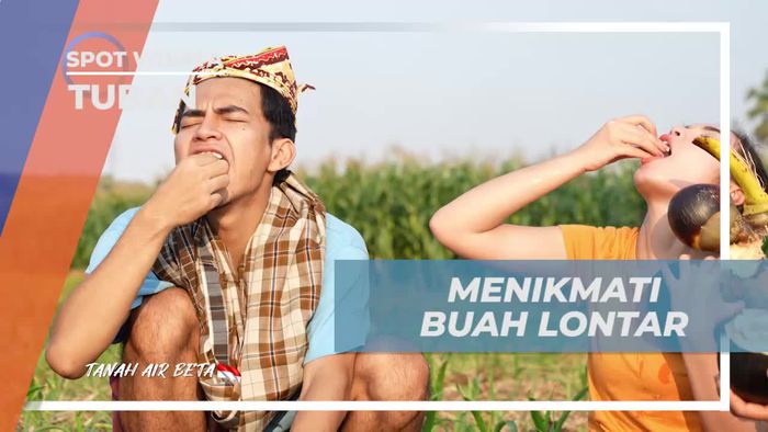 Menikmati Segarnya Buah Lontar di Tuban